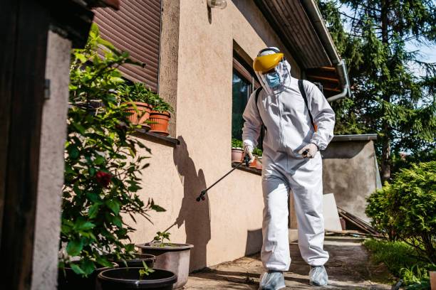 Best Pest Control Treatment  in Merrill, IA