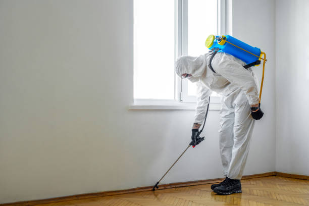 Best Bed Bug Extermination  in Merrill, IA